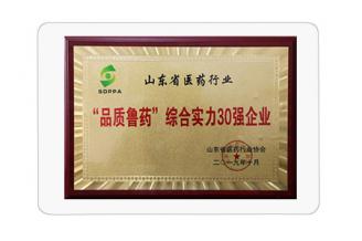 “品質魯藥”綜合實力30強企業